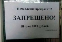 WhatsApp Image 2025-07-28 at 15.06.05.jpeg
