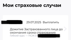 IMG_6837.jpeg