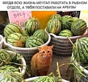 IMG_3379.jpeg