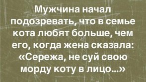 IMG_3413.jpeg