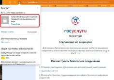 скрин-шляпа-2.jpg