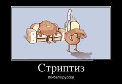 в.jpg