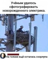 WhatsApp Image 2025-08-13 at 15.16.57.jpeg