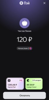 Screenshot_20250814_060237_Yandex Pay.jpg