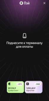 Screenshot_20250814_055430_Yandex Pay.jpg