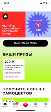 IMG_8098.png