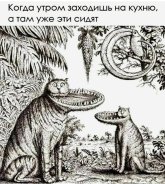 SAVE_20250624_055704.jpg