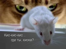 IMG_3433.jpeg