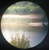 photo1.jpg