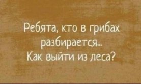 ж.jpg