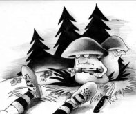 IMG_3376.jpeg