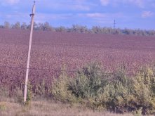 IMG_20250825_170019.jpg