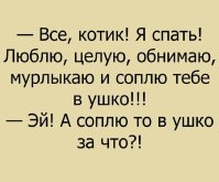 а.jpg