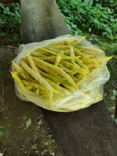 IMG-20250830-WA0001.jpg