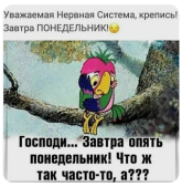 4365958.png