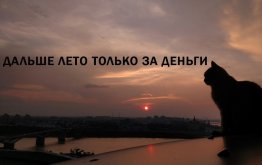IMG_20250831_195855_922.jpg