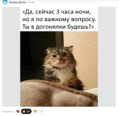 IMG_3412.png