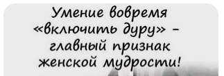 3598767.png