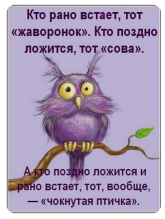 3577689.png