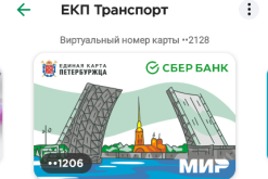 Screenshot_20250908-192841_Mir Pay.png