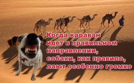 1757495274805.png