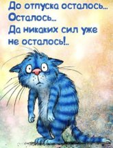 IMG_3475.jpeg