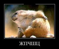 л.jpg