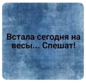 1248876.png