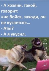 IMG_20250925_091024.jpg