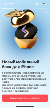 IMG_1987.png