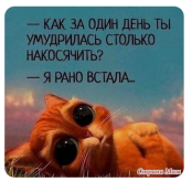 348976.png