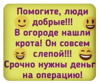 2342987.png