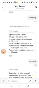 Screenshot_20251030_180659_ru_alfabank_mobile_android_ChatV3Activity.jpg