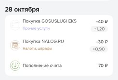 IMG_5725.jpeg IMG_5725.jpeg