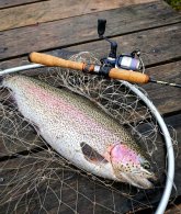 IMG_20251109_135315 (1).jpg