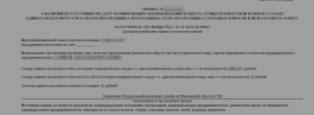 Справка ЕНС.png