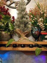 елка11.jpg елка11.jpg