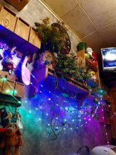 елка22.jpg елка22.jpg