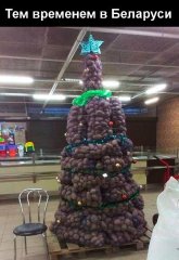 Белорусская елка.jpg