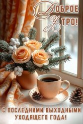 dobroe-utro-s-poslednimi-vyxodnymi-uxodyashhego-goda.jpg