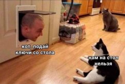 л.jpg