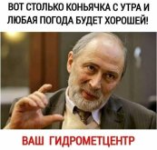 Гидра из Метцентра.jpg