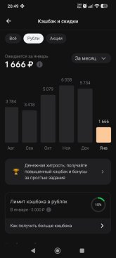 Screenshot_2026-01-19-20-49-10-011_ru.alfabank.mobile.android.jpg