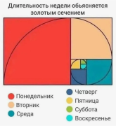 неппмитр.png