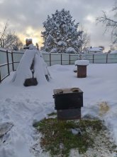 IMG_20251231_140631.jpg IMG_20251231_140631.jpg