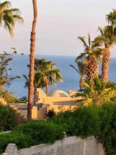 IMG_20251027_173018.jpg IMG_20251027_173018.jpg