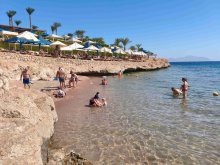 IMG_20251030_114511.jpg IMG_20251030_114511.jpg