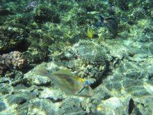 IMG_5469.JPG IMG_5469.JPG