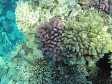 IMG_5482.JPG IMG_5482.JPG