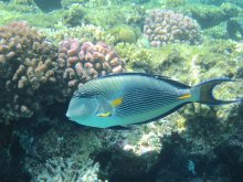 IMG_5549.JPG IMG_5549.JPG